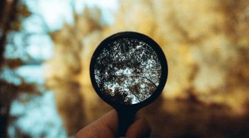 Magnifying glass