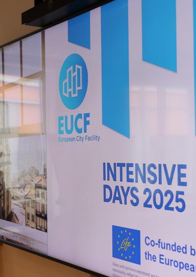 A visual of a screen saying Intensive Day