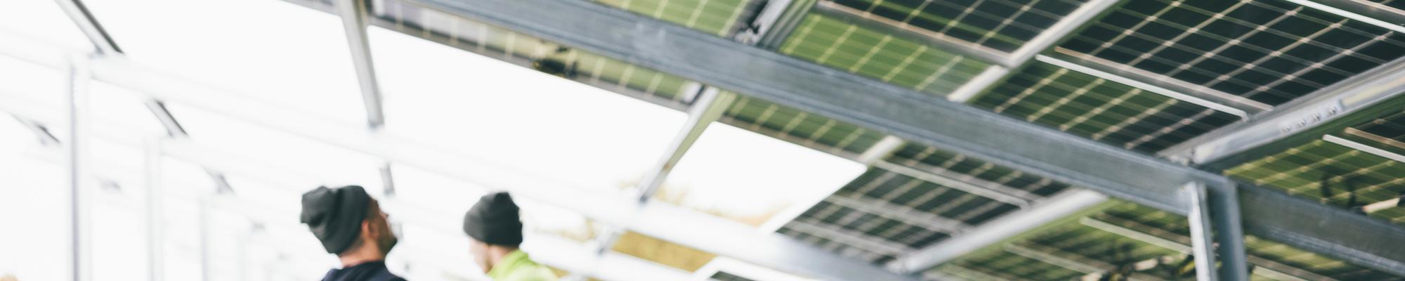 A photo of solar panels