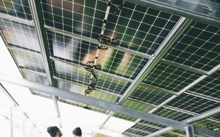 A photo of solar panels